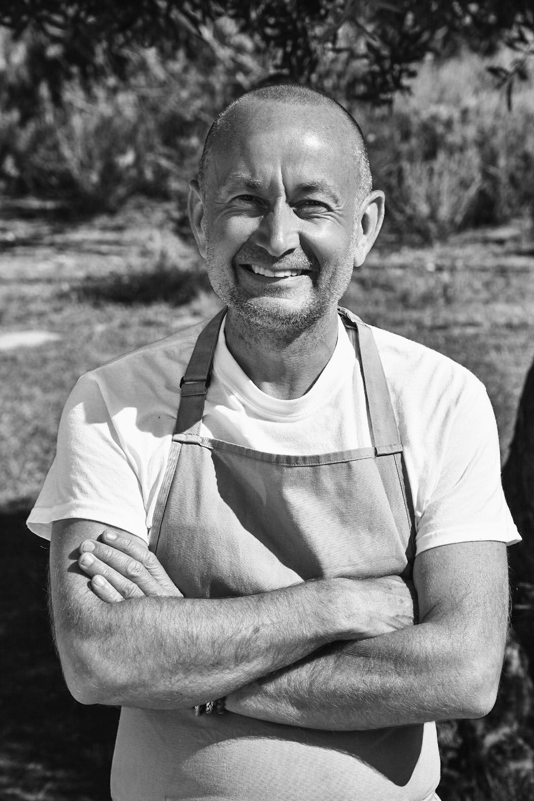 Sarmado Sibley